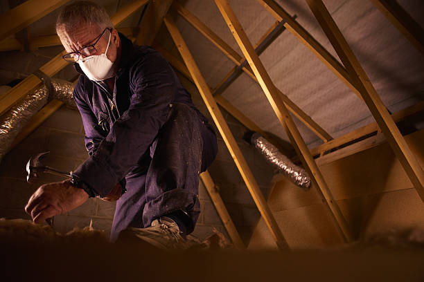 Best Insulation Maintenance and Repair in Lake Ketchum, WA